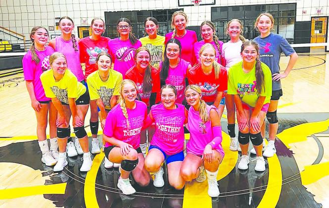 The Grady Lady Wildcats varsity and junior varsity volleyball teams opened the season on Tuesday with wins over Ira.