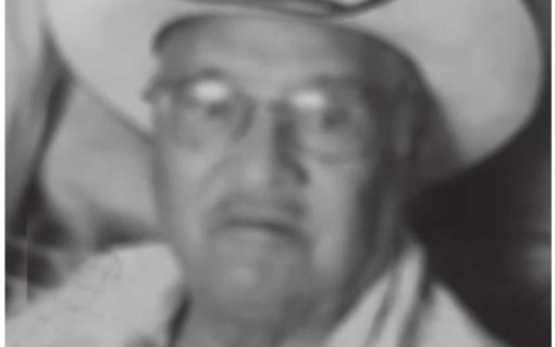 Alt Text for Image