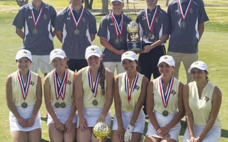 Grady sweeps District 6 golf championships