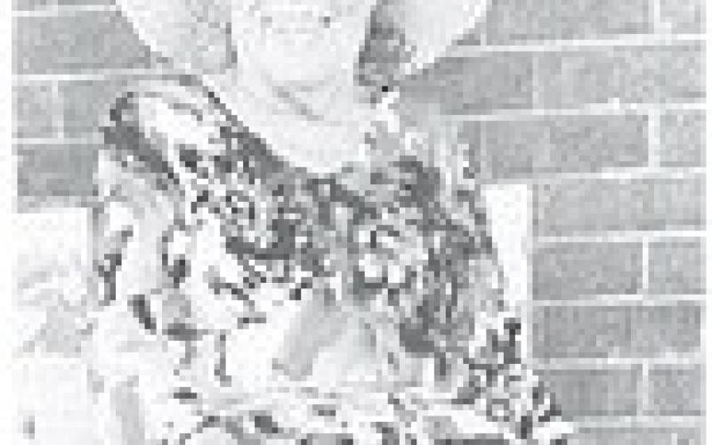Doris Ann Bryant Hull