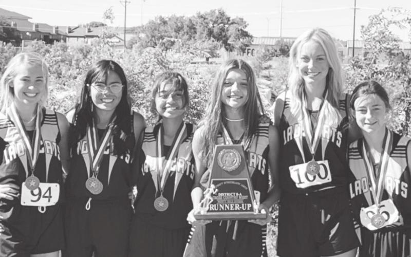 Wildcats run wild at district