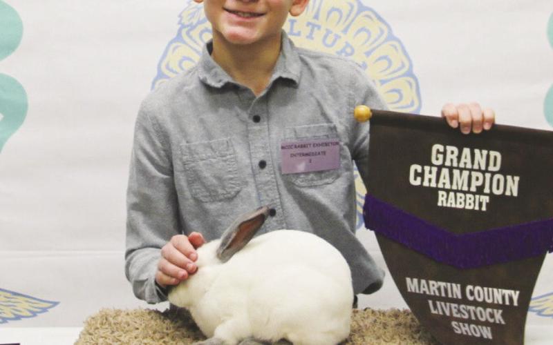 Grand Champion Rabbit Daniel Woodward