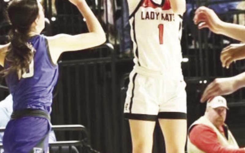 Garden City Sophomores Karly Baker and Emy Schwartz were selected for the TSMCA &amp; TABC All-Region Teams for District 2.