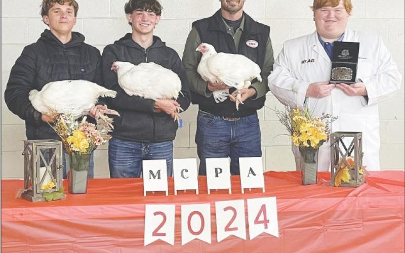 Pullet Show