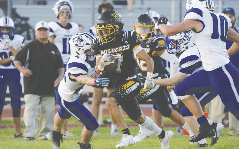 Wildcats pick up another impressive victory