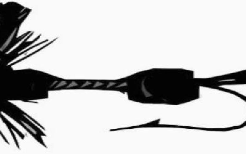 Fishing Report