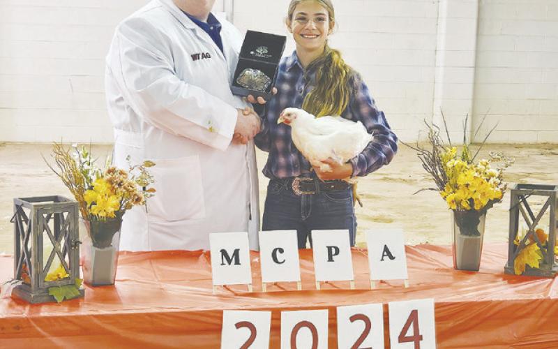 Breinlye Shock Grand Champion Single