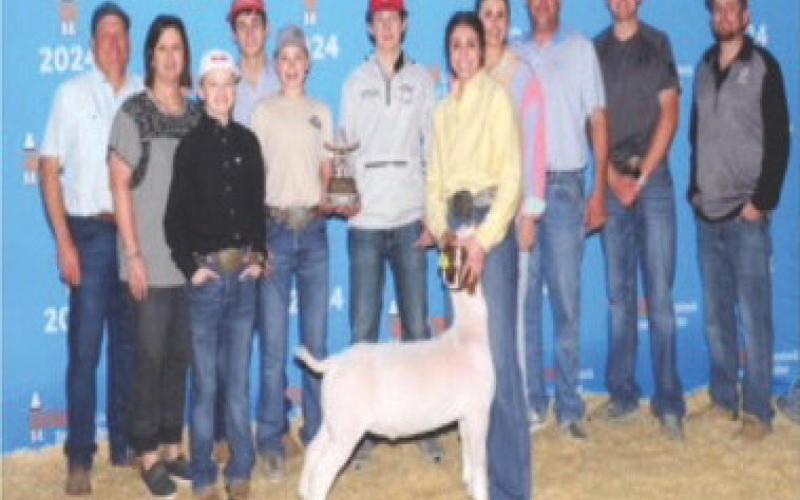 Emy and Sterling Schwartz from Glasscock County 4-H recently showed at the Houston Livestock Show and Rodeo. Emy - class 12-1st place Sterling- class 7- 13th place