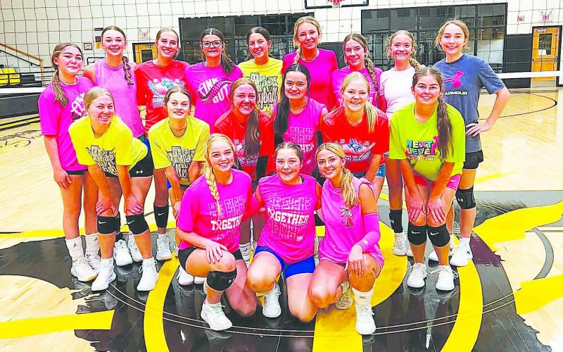 The Grady Lady Wildcats varsity and junior varsity volleyball teams opened the season on Tuesday with wins over Ira.