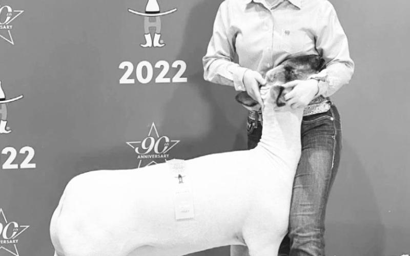 Bearkat’s Stock Show Results