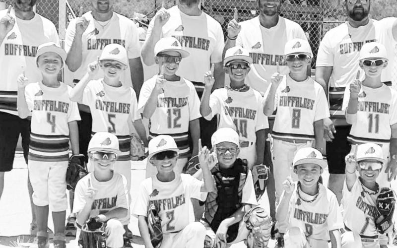 8U Buffaloes look unbeatable in first tournament