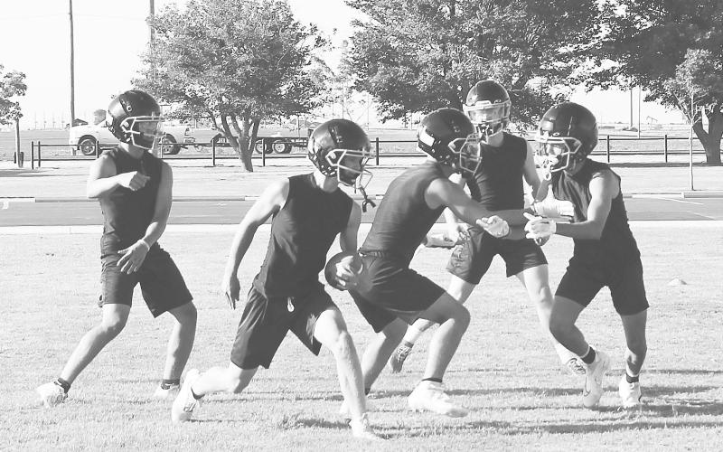 Wildcats hope to ride experience to winning season