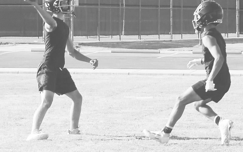 Wildcats hope to ride experience to winning season
