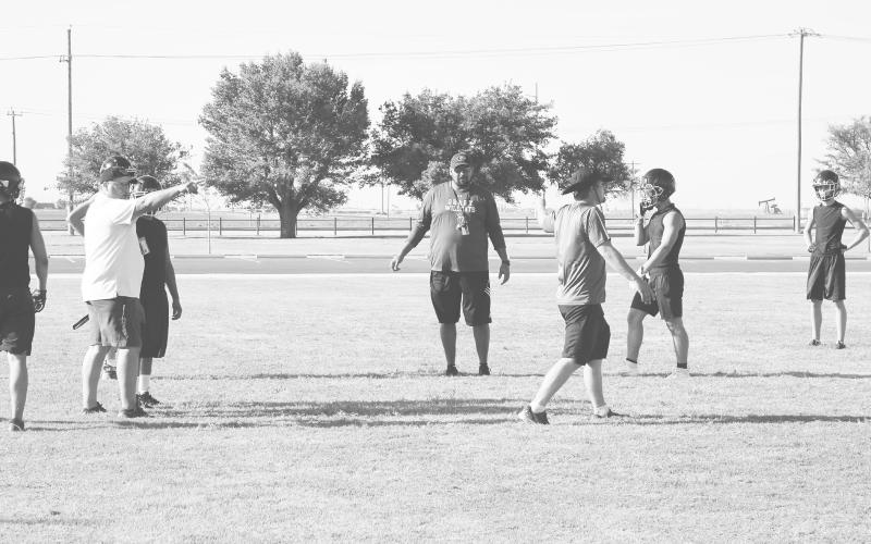 Wildcats hope to ride experience to winning season