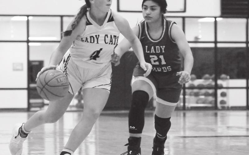 Junior varsity Cats finish third