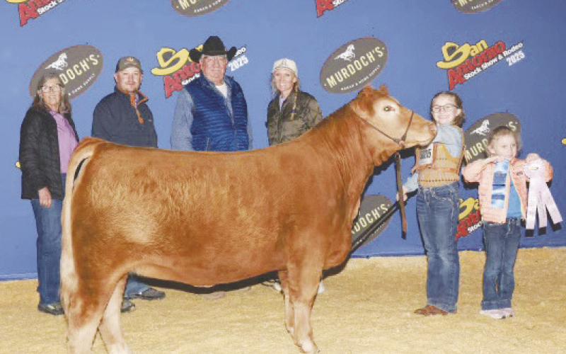 Channing Borgstedt exhibited the Reserve Champion ARB Heifer at the San Antonio Stockshow.