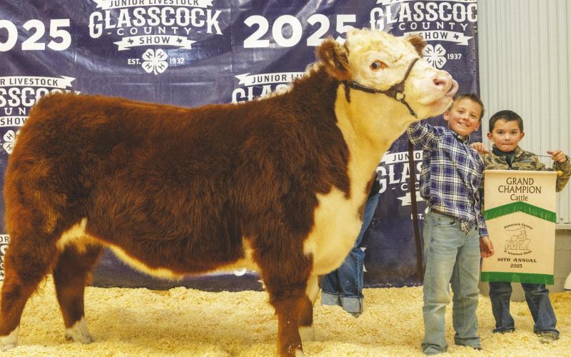 Grand Champion Cattle Blaise McMillan