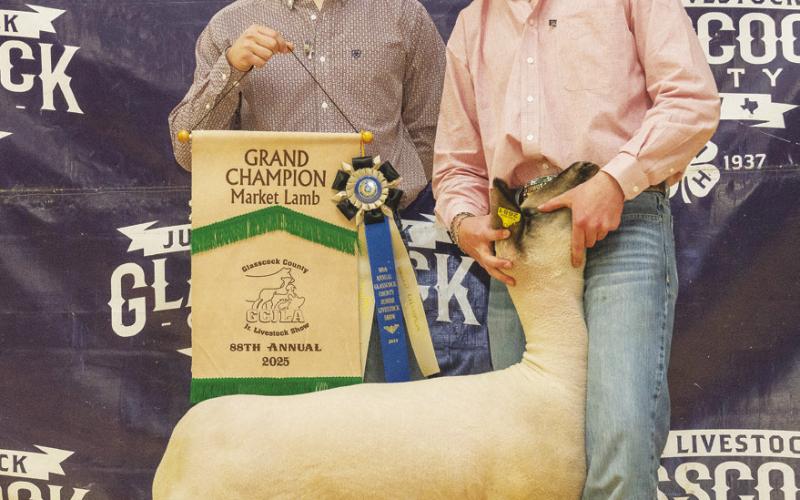 Grand Champion Lamb Waylyn Davis