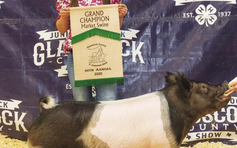 Grand Champion Swine Lacy Seidenberger