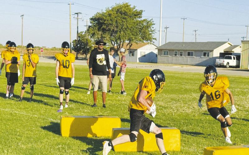 Texas Football Predictions DISTRICT 4-1A DI