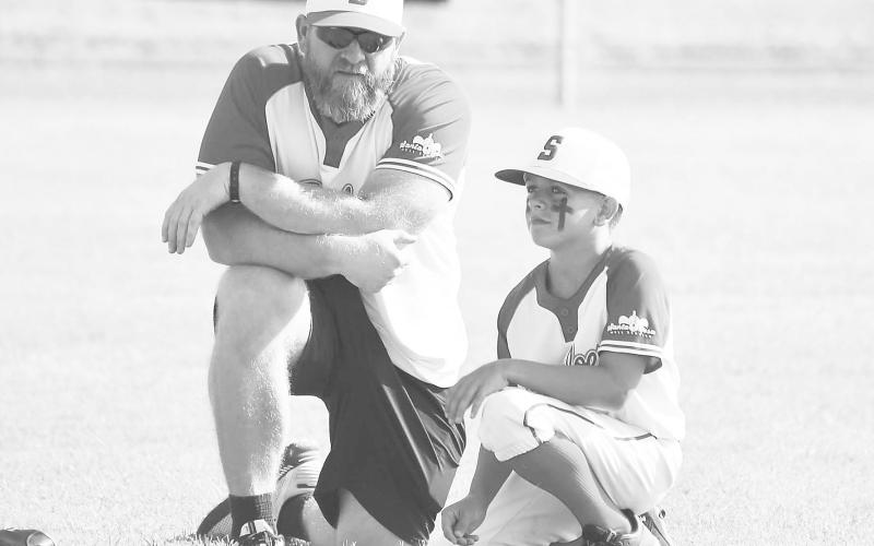 Stanton advances to little league State tournament