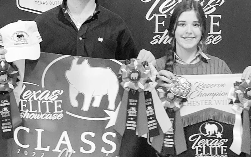 Texas' Elite &amp; San Angelo Gilt Show