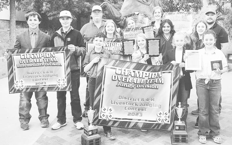 Wildcats, Bearkats will be competing in respective Regional track meets this week