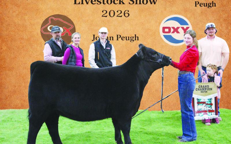 Martin County Junior Livestock Show Showcases Youth Excellence at New Community Complex