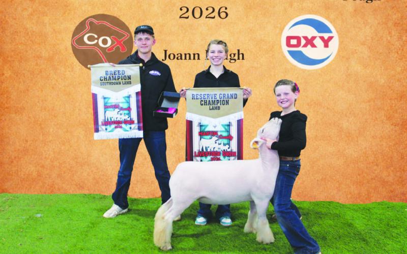 Martin County Junior Livestock Show Showcases Youth Excellence at New Community Complex