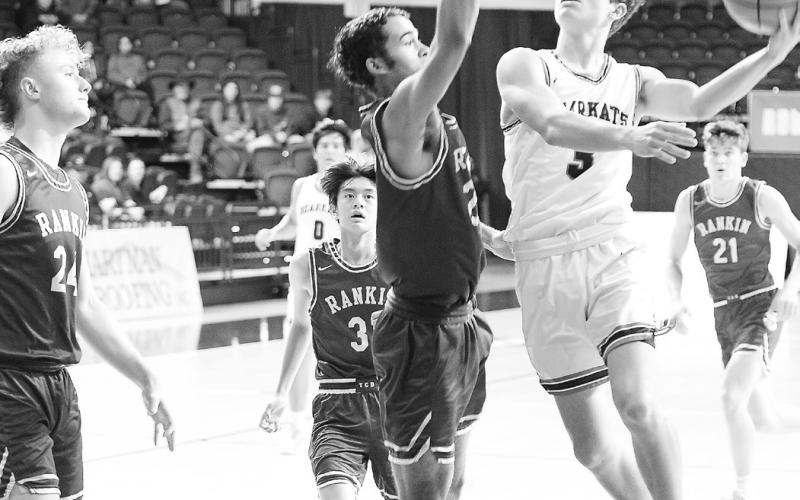 Garden City Bearkats playoff run comes to end in Region II finals