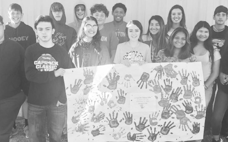 Stanton FFA