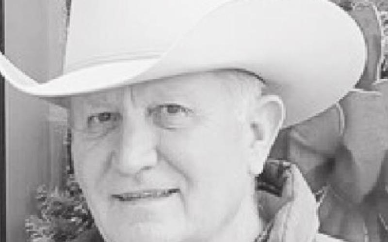 Wilson Lee Stewart