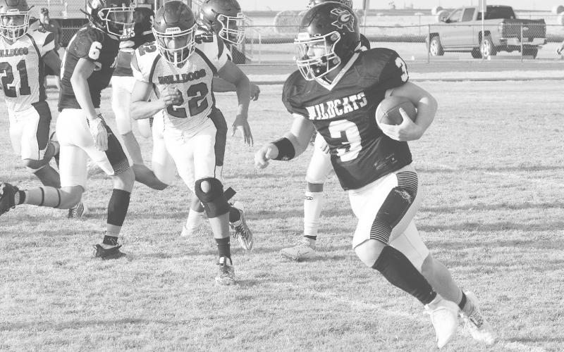 Grady comes up short against Amherst
