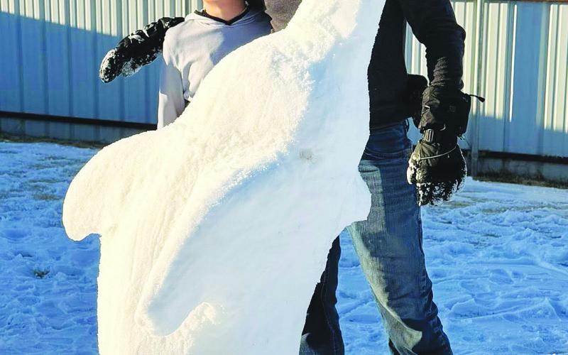 After the winter storm blew in, Martin County Messenger owner and editor David Butler — with a help from his son Evan — put his snow day to good use sculpting a dolphin from the snow. The duo also did a 21-foot alligator named Argo.