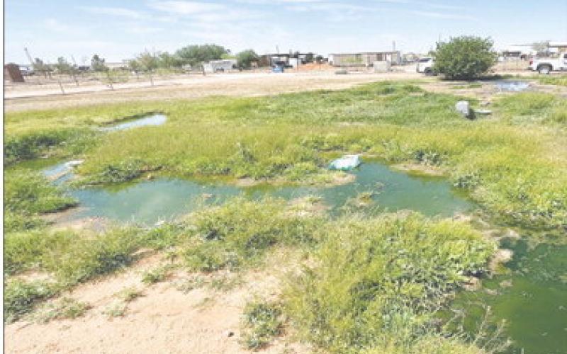 “Third world mentality”: two charged over sewage spill in Martin County