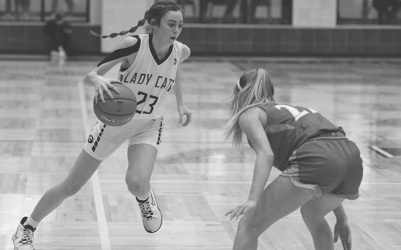 Alt Text for ImageUIL Girls Basketball District 8-A All-District