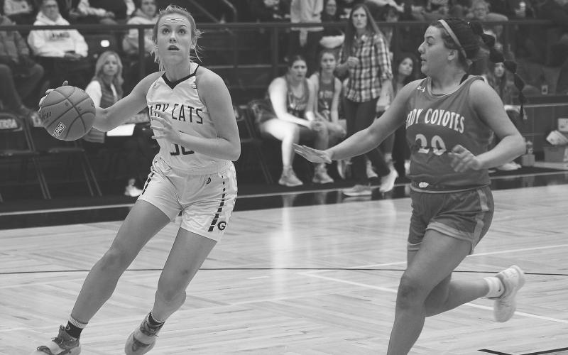 UIL Girls Basketball District 8-A All-District