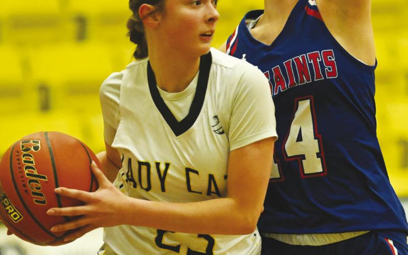 Lady Cats split district games against Sands