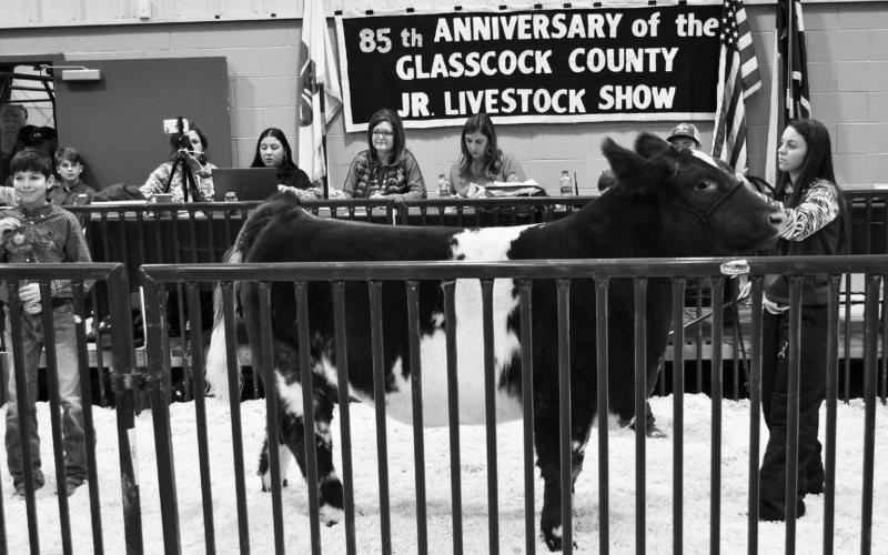 Glasscock Co. Jr. Livestock Show Results