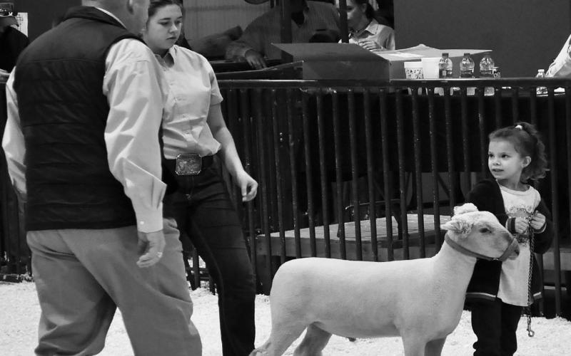 Glasscock Co. Jr. Livestock Show Results