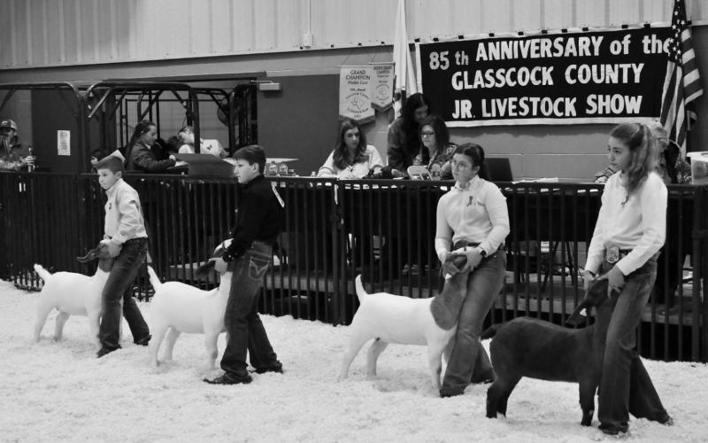 Glasscock Co. Jr. Livestock Show Results