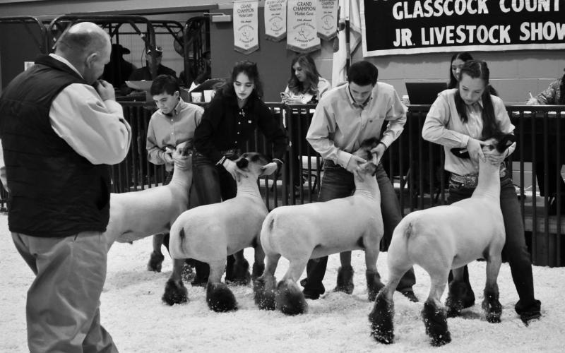Glasscock Co. Jr. Livestock Show Results