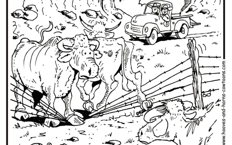 Western Tradition