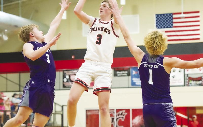 Bearkat rally comes up short against Sands