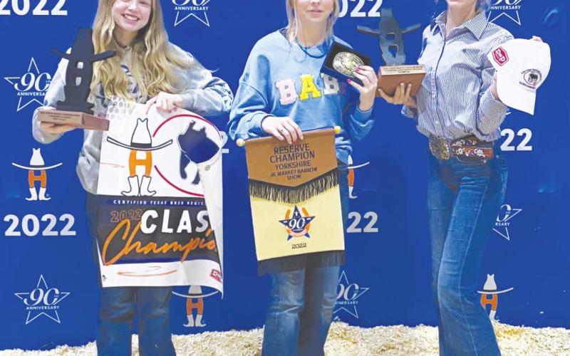 The Grand Champion drive