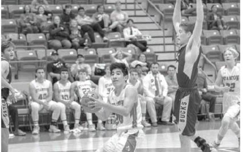 The Stanton Buffaloes lost to Alpine Tuesday night in Stanton. The Buffs are 1-1 on the season.