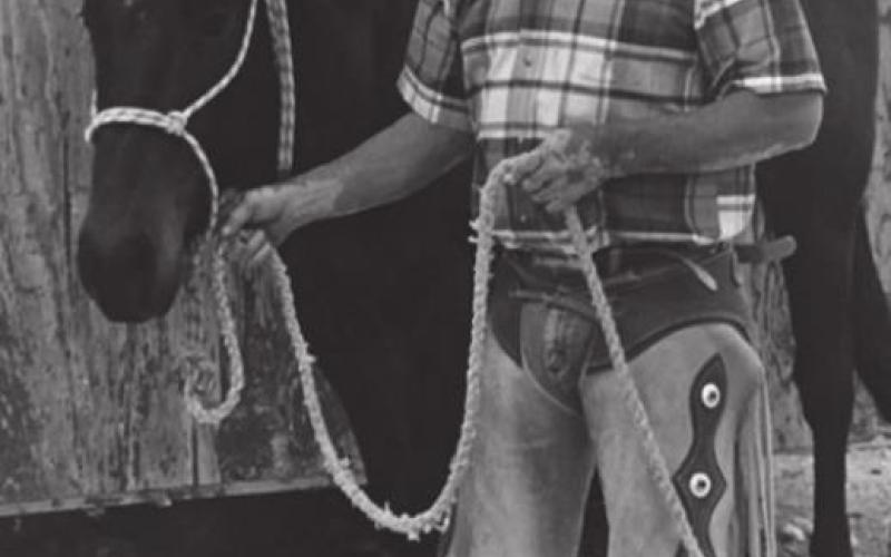 Alt Text for Image