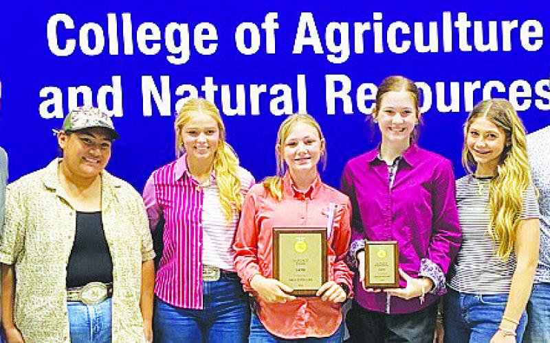 Grady FFA dominates area contest with multiple champions; three teams advance to state