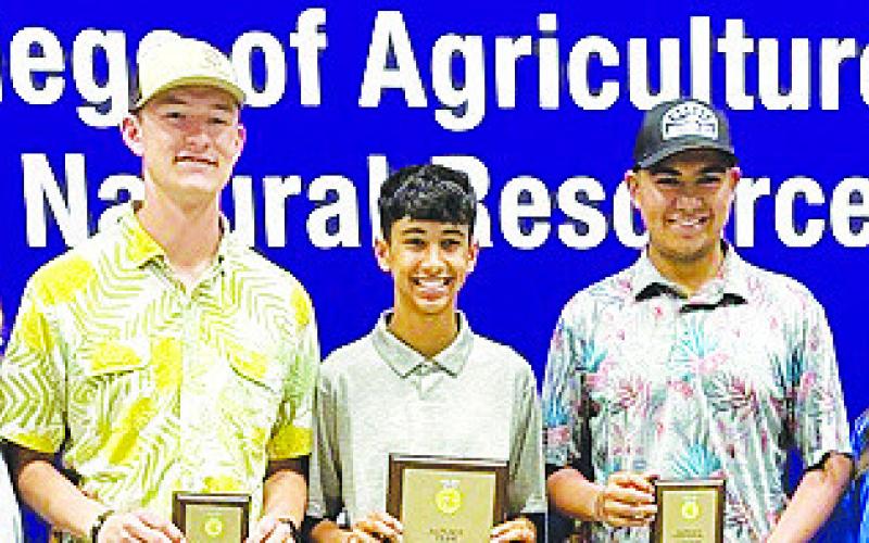 Grady FFA dominates area contest with multiple champions; three teams advance to state