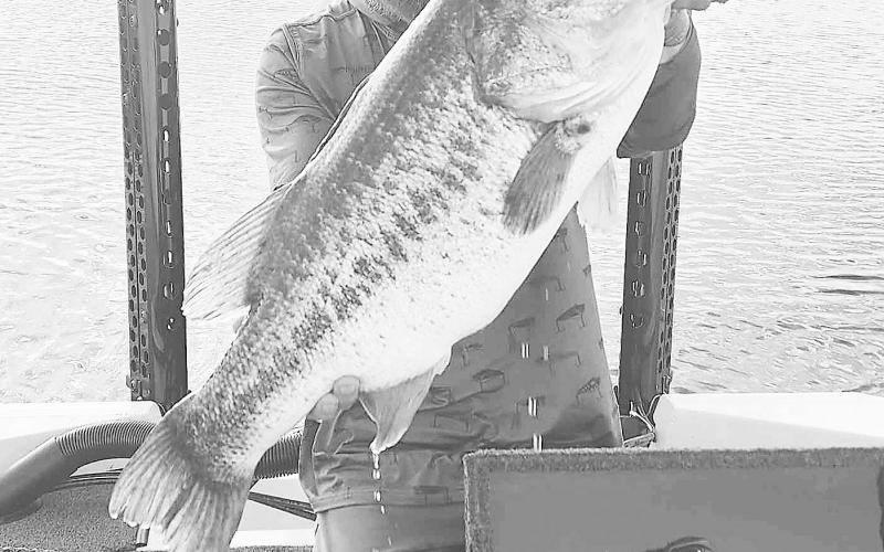 Johnathon Harding, of San Angelo, caught an Elite ShareLunker at O.H. Ivie on June 10, 2023. His catch weighed 12.05 lbs and was 27 inches long.